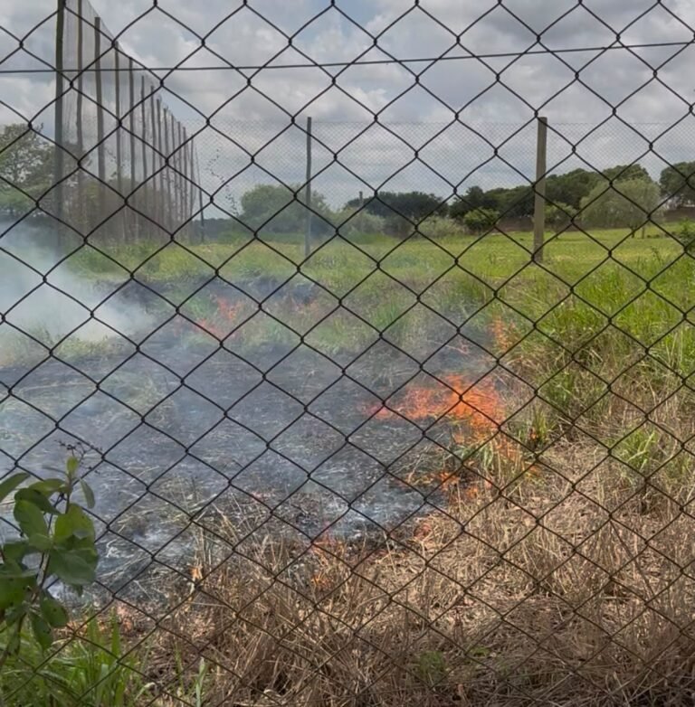 Incêndio atinge pastagem e mobiliza Corpo de Bombeiros em São Gabriel do Oeste